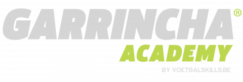 Garrincha Academy